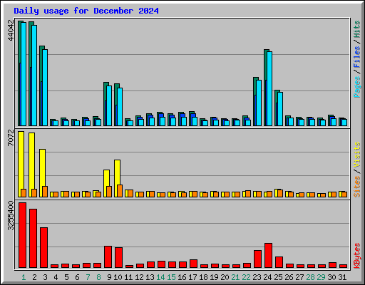 Daily usage for December 2024
