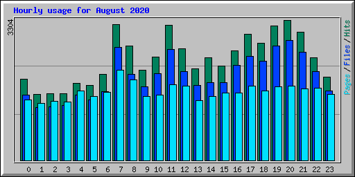 Hourly usage for August 2020