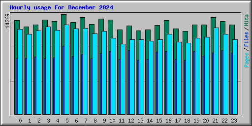 Hourly usage for December 2024