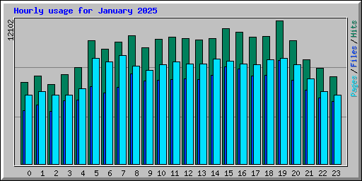 Hourly usage for January 2025