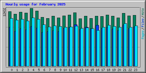 Hourly usage for February 2025