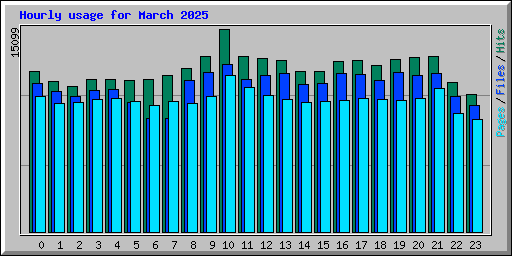 Hourly usage for March 2025