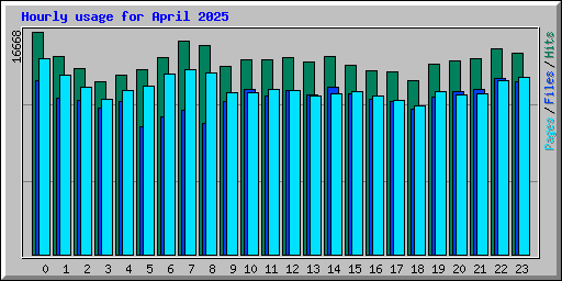 Hourly usage for April 2025