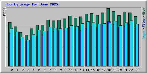 Hourly usage for June 2025