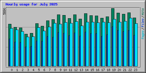 Hourly usage for July 2025