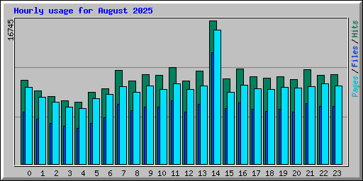 Hourly usage for August 2025