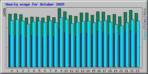 Hourly usage for October 2025