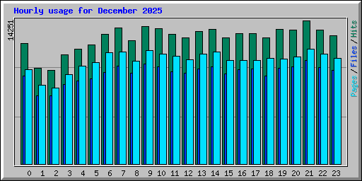 Hourly usage for December 2025