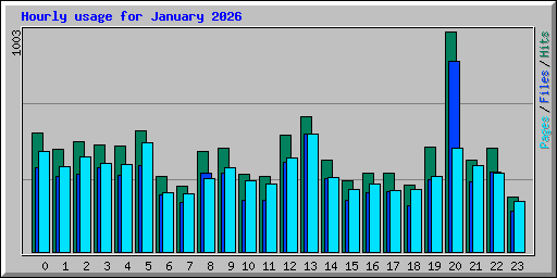 Hourly usage for January 2026