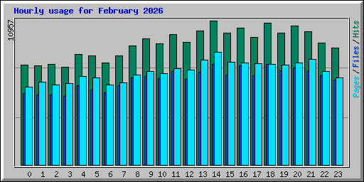 Hourly usage for February 2026