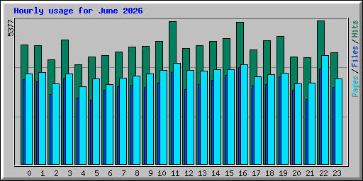 Hourly usage for June 2026
