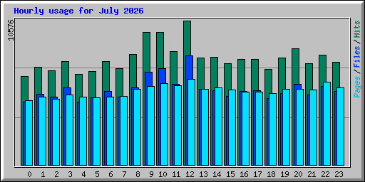 Hourly usage for July 2026