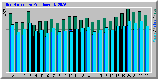 Hourly usage for August 2026